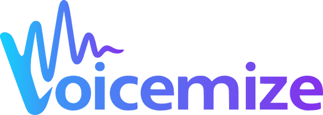 Voicemize